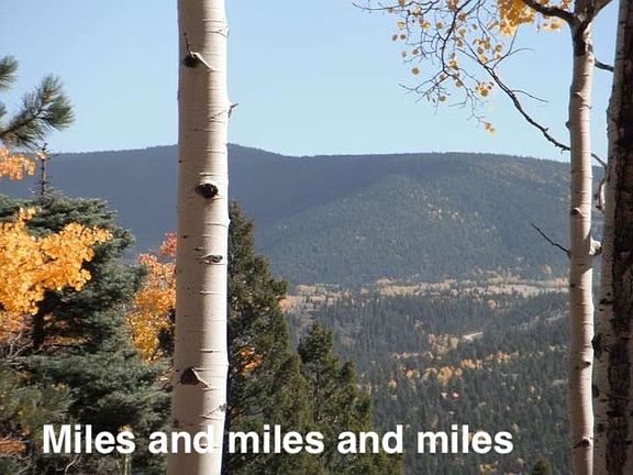 4th image of Taos Dr