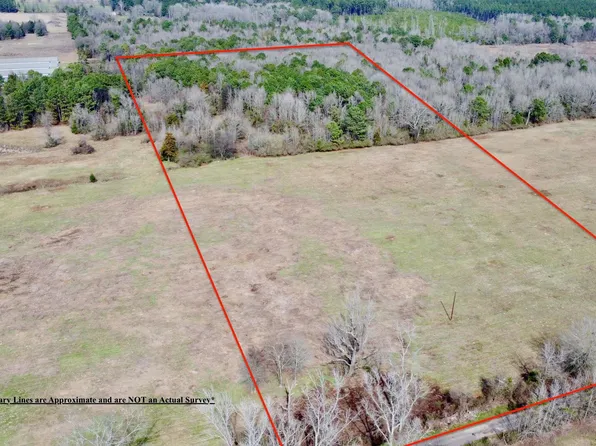 County Road 1460 #3, Linden, TX 75563