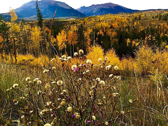 Green Mountain & Rocky Mountain Views