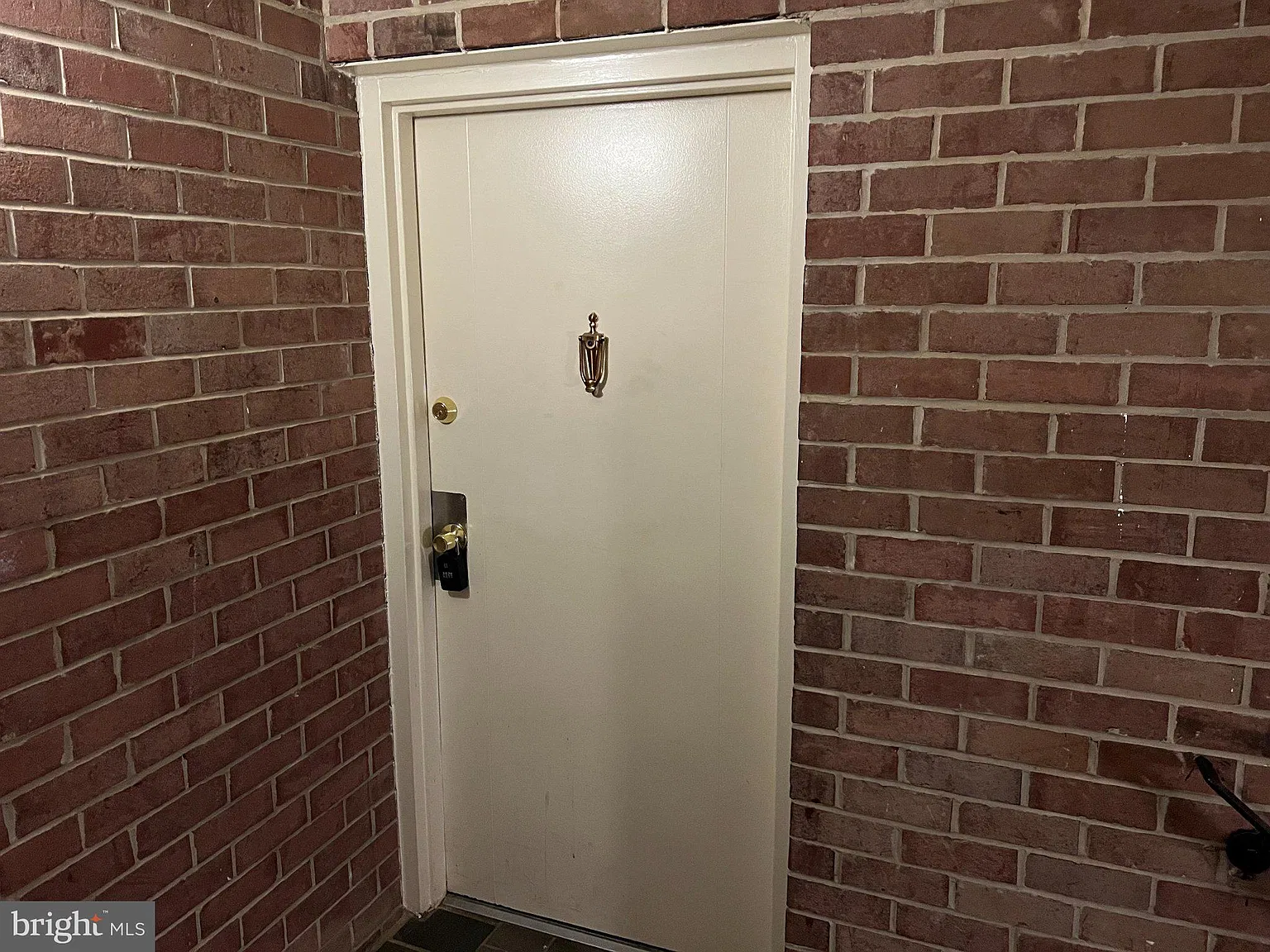 2 bed, 1.0 bath, 1021 sqft, $2,100 — Photo 3