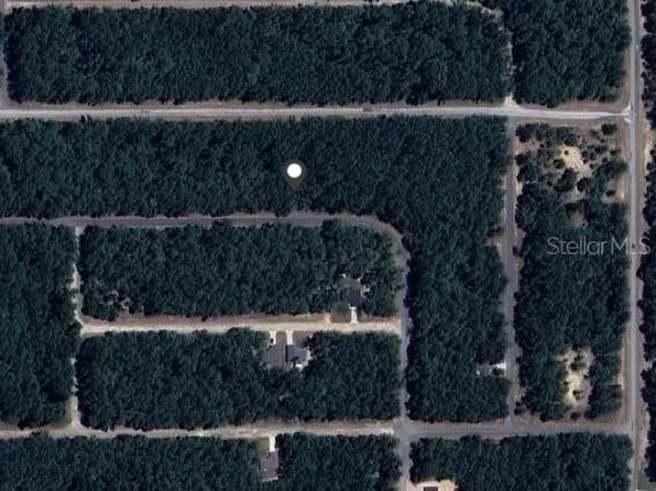 9239 N Patch Dr Lot 43, Dunnellon, FL 34434