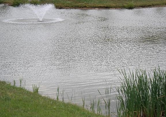 4th image of 7323 Pebble Lake Dr