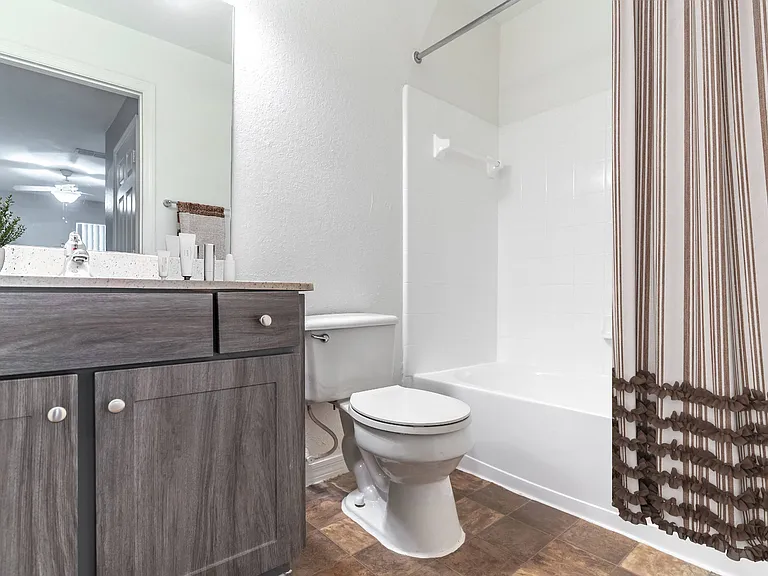 Bathroom Features Shower and Tub Combo