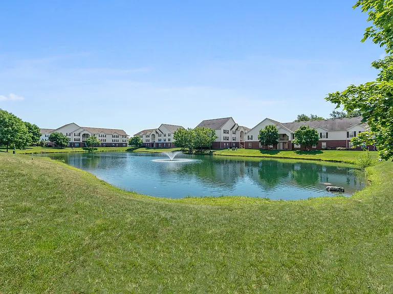 Pond