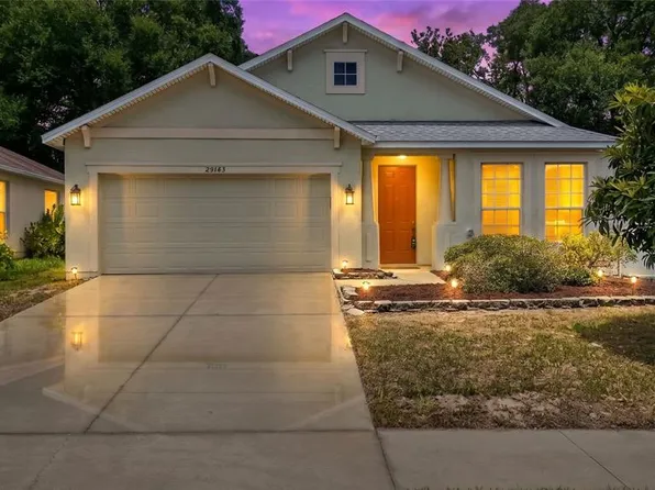 25143 Chipshot Ct, Mount Plymouth, FL 32776