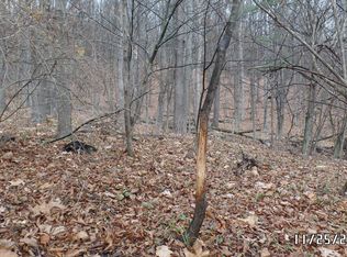 Saint Michaels Rd, Cogan station, PA 17728