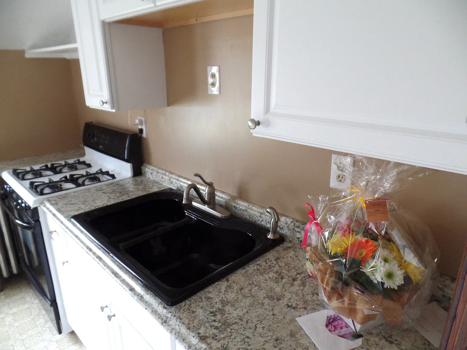 1 bed, 545 sqft, $1,125 — Photo 3