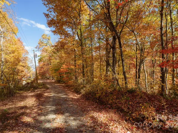 99999 Chestnut Dr, Leicester, NC 28748
