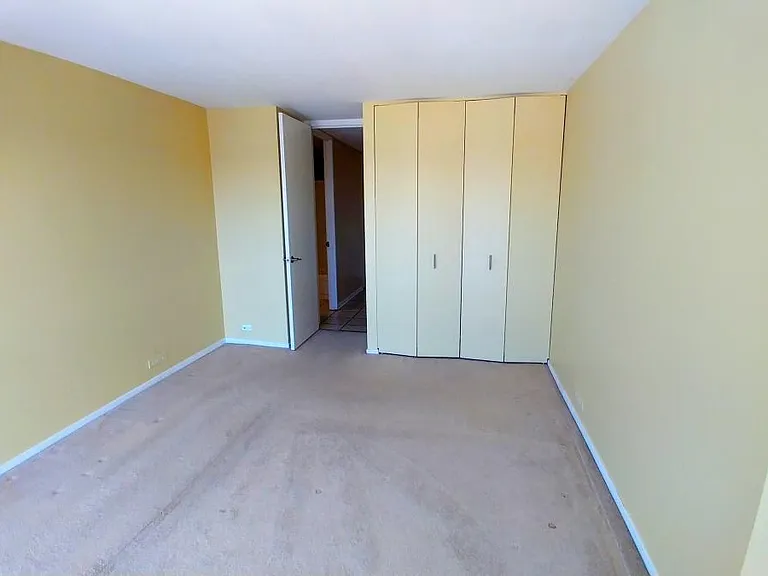 2650 N Lakeview Ave #2207 — Photo 9