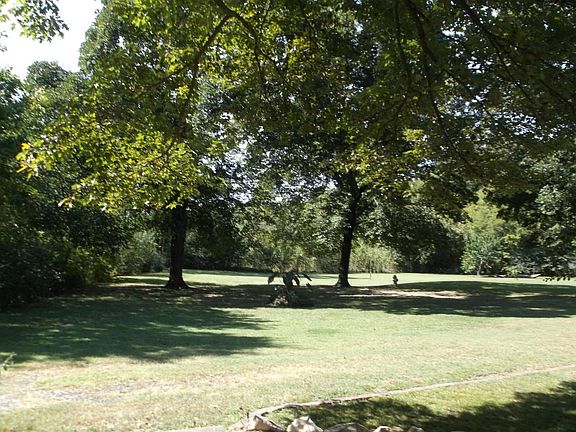 View of Wooded 1 Acre Spot