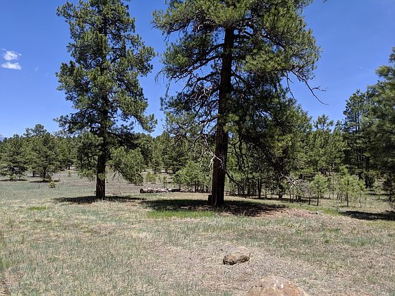 4th image of 990 Old Munds Hwy