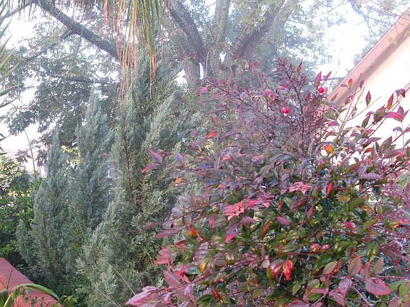 View on the left side from the gate