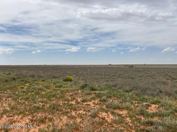 0 County Road 460, Brownfield, TX 79316