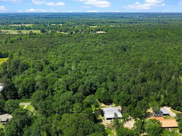 County Road 3361 Tract C, De Berry, TX 75639