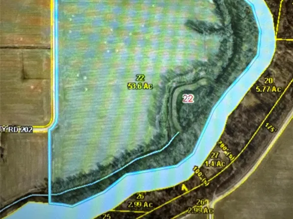 0 County Road 202, Qulin, MO 63961
