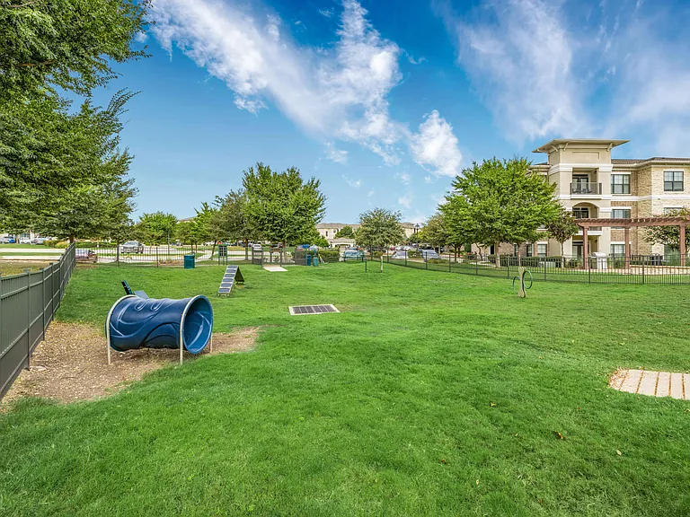 Dog Park