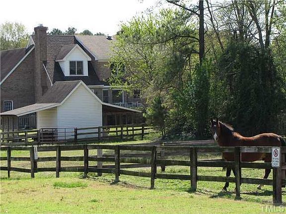 Horses in your backyard!