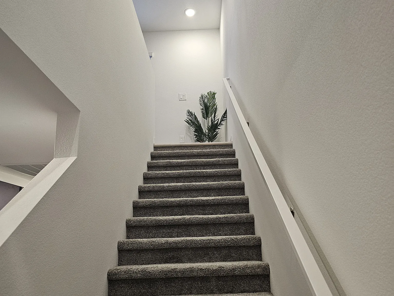9489 Sky Pointe Drive - 9489 Sky Pointe Dr (Townhome) — Photo 2