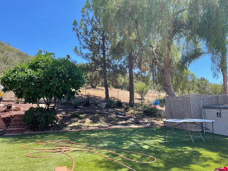 3 Adolphia St — Photo 3