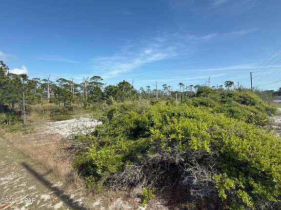 5th image of Cape San Blas Rd