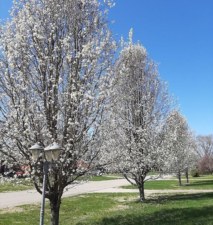 6703 Barbrook Rd, Louisville, KY 40258 | MLS #1717063 | Zillow
