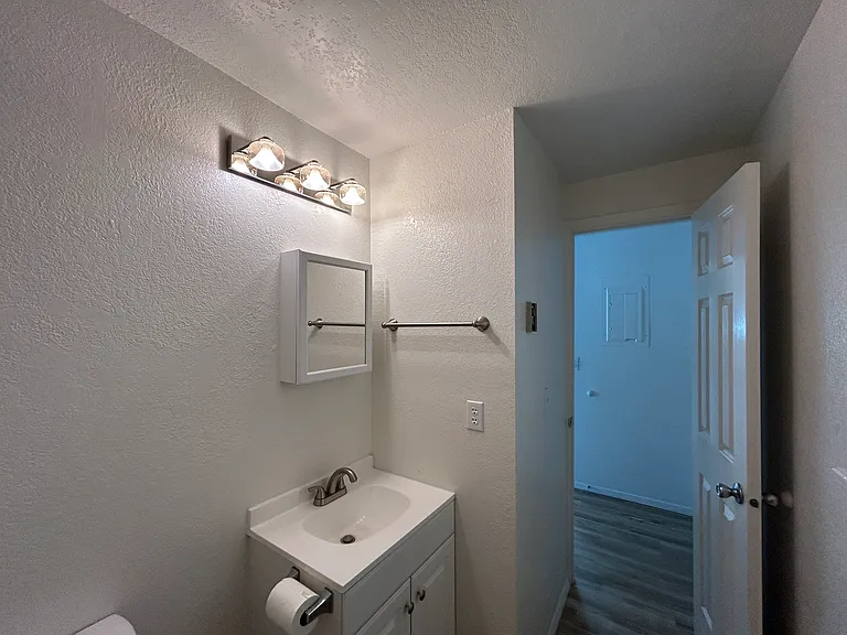 902 S Wild Phlox Way — Photo 6