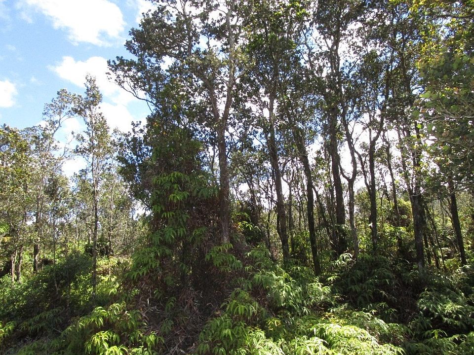2nd image of Mokuna St Lot 2120