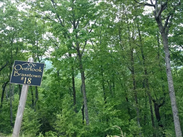 LOT 18 Brasstown Vw, Brasstown, NC 28902