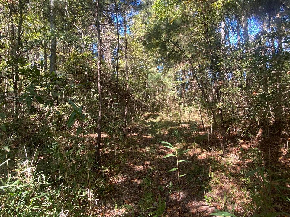 2nd image of 259 Interstate View Dr