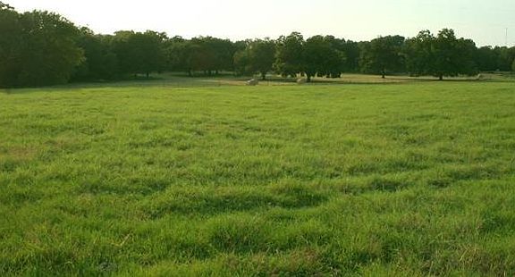 5th image of 1193C County Road 434 Loop