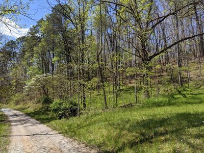 0 Windy Poplar Rd, Franklin, NC, 28734