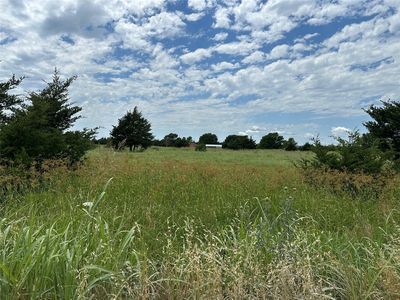 LOT 8 Lemonade Ln, Farmersville, TX, 75442