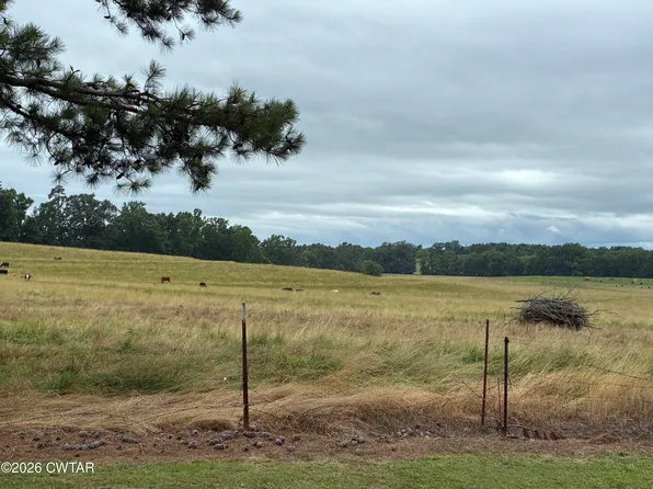 1120 Pleasant Ridge Rd, Finger, TN 38334