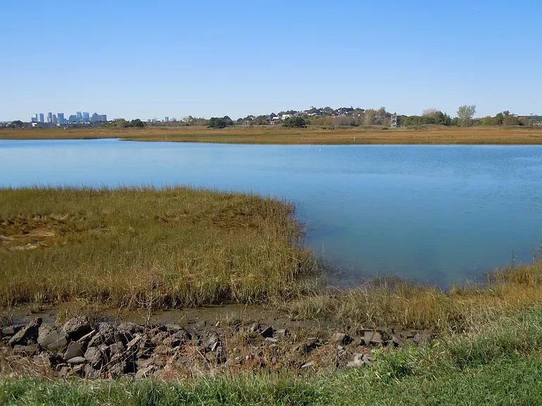 view southwest across Belle Isle marsh to Orient Heights and downtown Boston