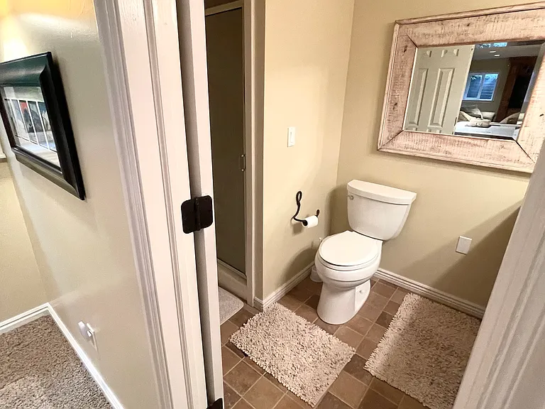 Basement bath with shower