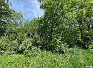 LOT 1 Fleisher Rd, Galesburg, IL 61401