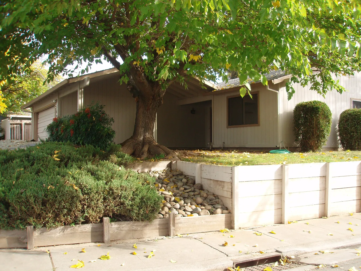 8085 Ramblewood Way photo 1