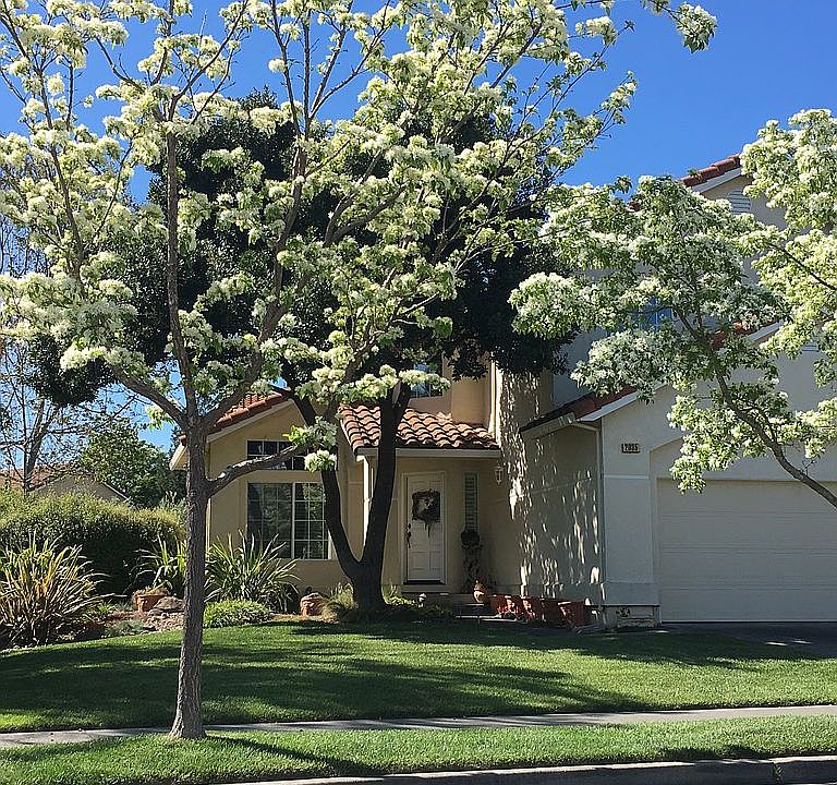 2nd image of 2035 Goldfield Ln