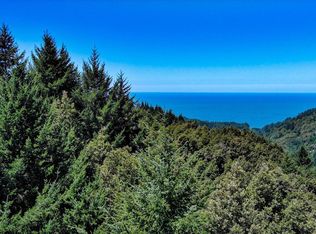 91 Walker Way, Whitethorn, CA 95589