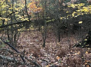 W Tamarack Road, Howard City, MI 49329