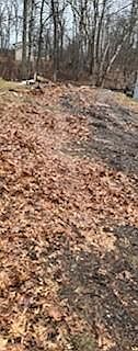 4th image of 30548 Barkwood Trl