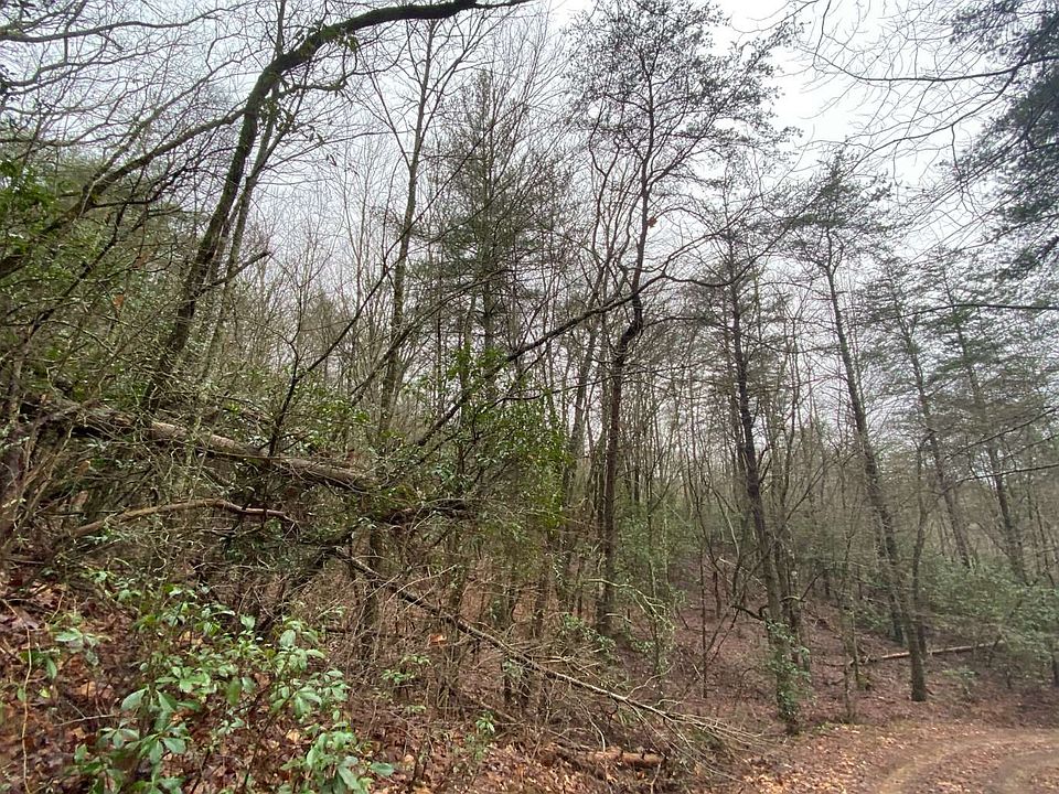 2nd image of Sassafras Ridge Rd