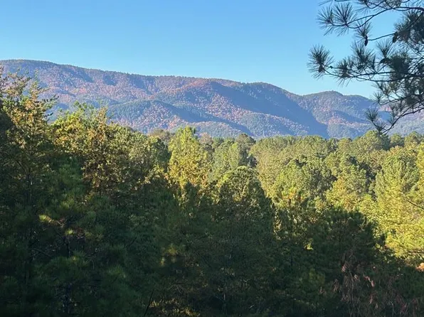 302 Chanceytown Rd, Copperhill, TN 37317