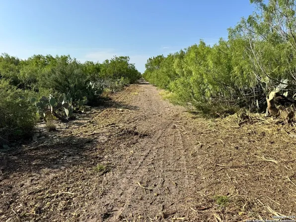 0 Cameron Ln, Fowlerton, TX 78021