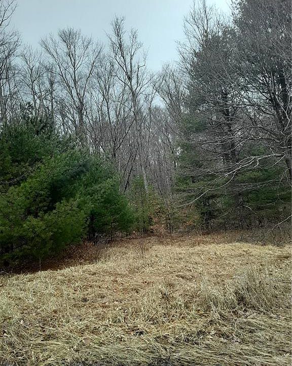 2nd image of N S French Clearing Rd