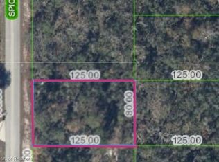 220 Spice Ave NE, Lake Placid, FL 33852