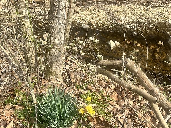 2nd image of 210 Trotter Rd