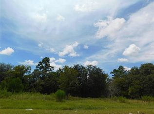 6683 N Bedstrow Blvd LOT 8, Dunnellon, FL 34434