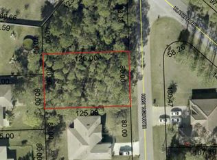 6 Ulmaceal Path LOT 10, Palm Coast, FL 32164