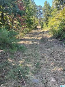 Hearthstone Dr #3.3, Odenville, AL, 35120